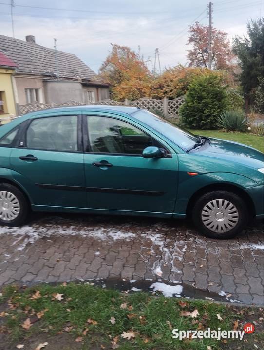 Ford Focus 1.6 benzyna