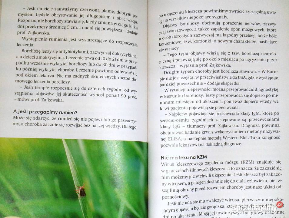 Recepta na zdrowie Najzdrowsze warzywo świata Chełm