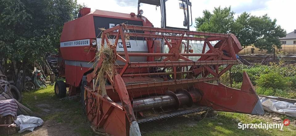 Kombajn zbożowy Massey Ferguson MF 506 Maszyny rolnicze Libusza