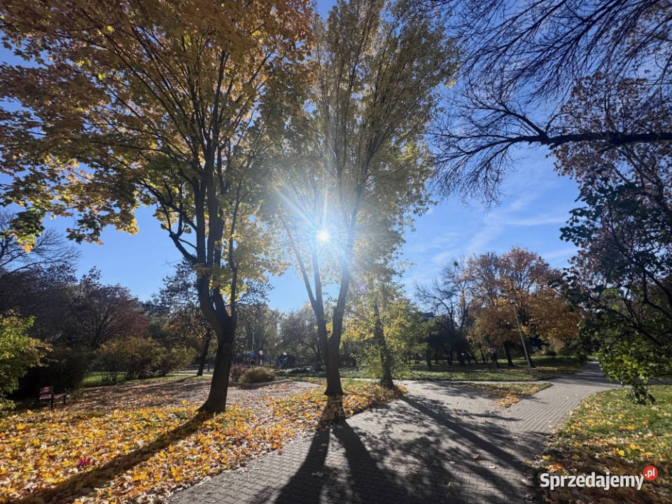 mieszkanie 2pokojowe w sercu miasta doskonała Kielce