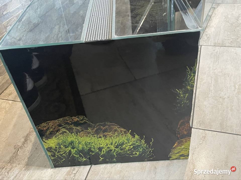 Terrarium 403030 kujawsko-pomorskie Białobłoty