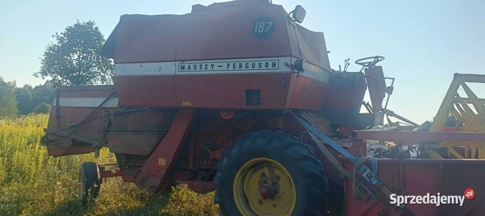 Massey Ferguson 187 sieczkarnia 3 metry koszenia Czudec