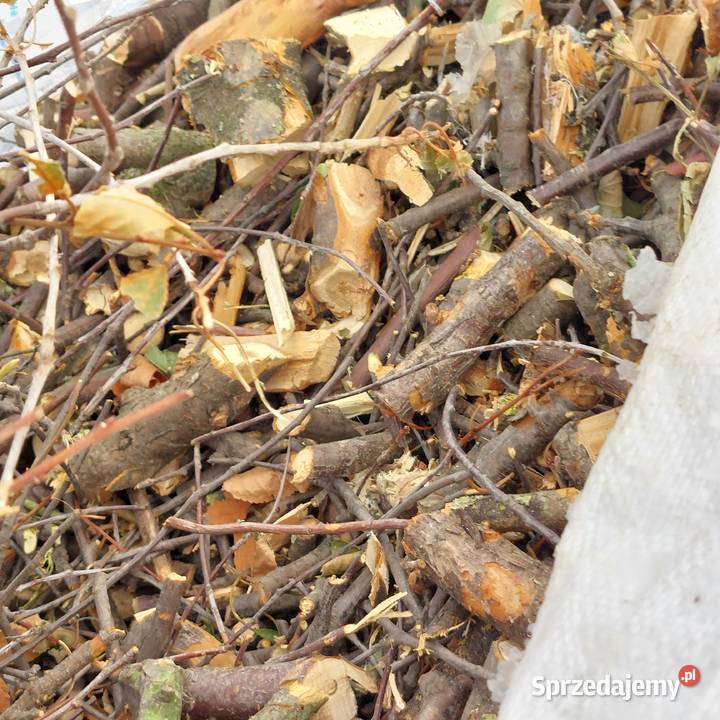 Drewno wiśnia olszyna do wędzenia