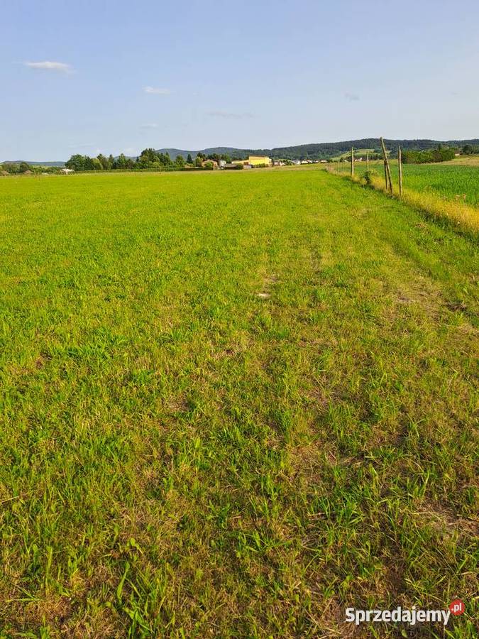 SPRZEDAM DZIAŁKI BUDOWLANE