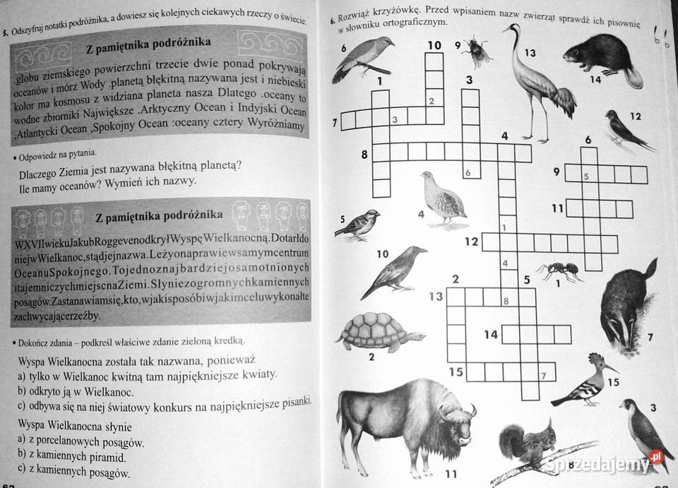 Już w szkole C Radzę sobie coraz lepiej E miękka Chełm sprzedam