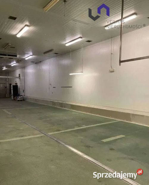 Lokal Mysłowice 1867m2 magazyn śląskie sprzedam