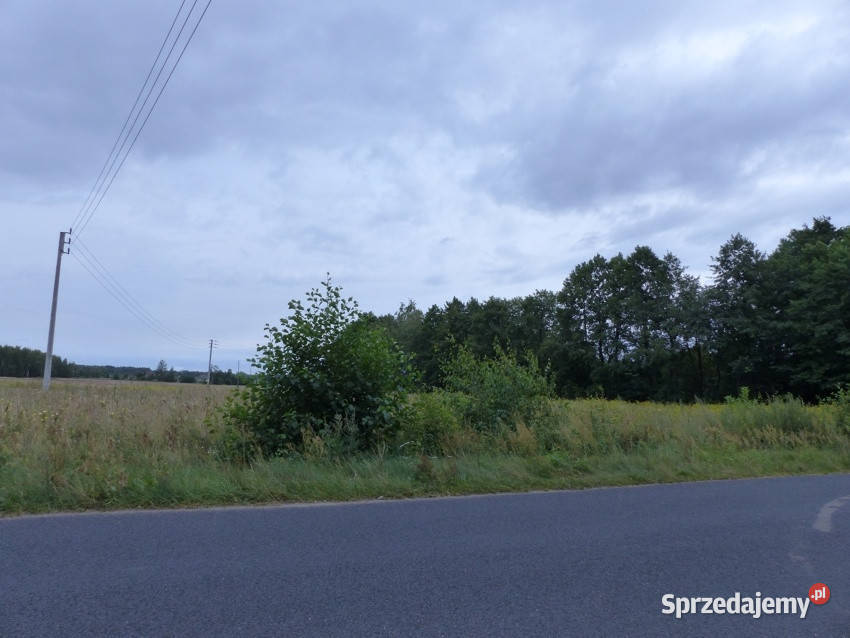Działki rolnobudowlane k Płocka Lipna Małomin