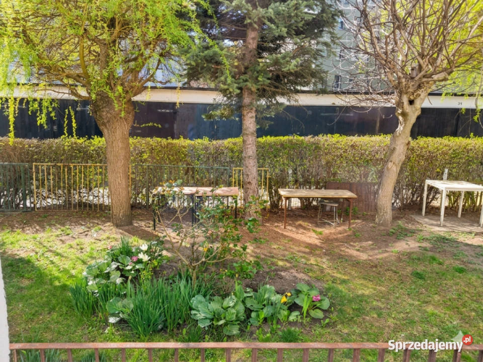 Kieszonkowa gigantyczny potencjał zachodniopomorskie Szczecin