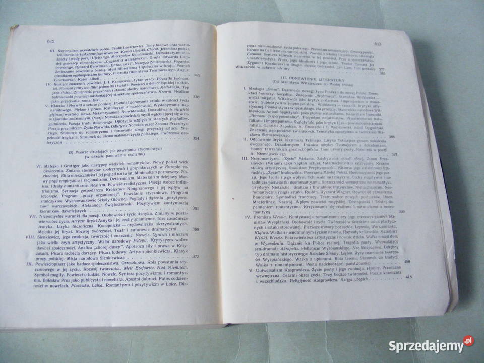 Zarys dziejów literatury polskiej Kleiner Okresy Oborniki Śląskie