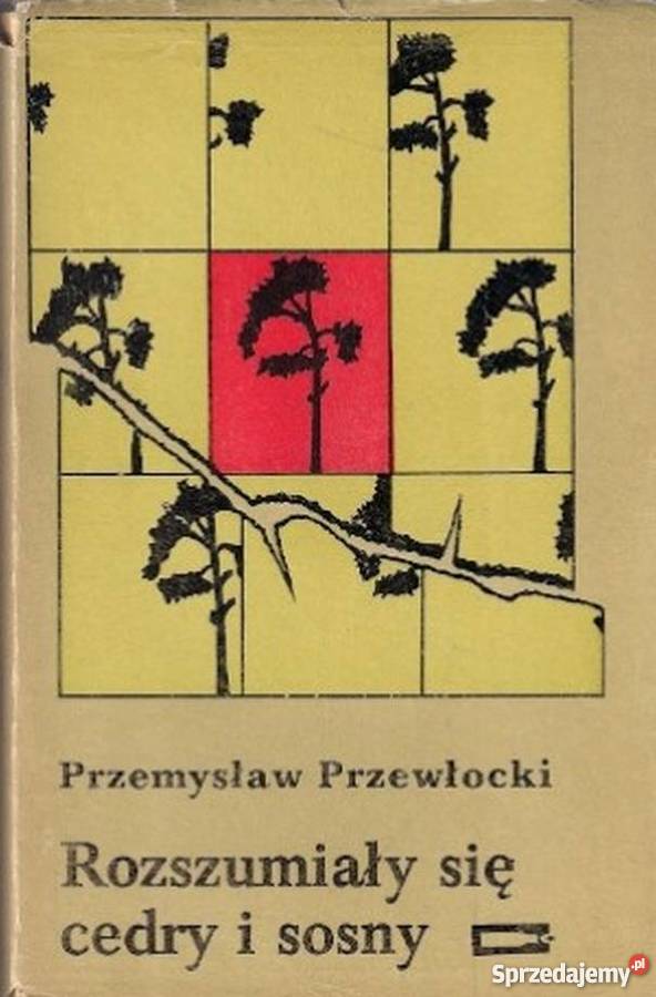 ROZSZUMIAŁY SIĘ CEDRY I SOSNY PRZEWŁOCKI Rok wydania 1984 Inowrocław