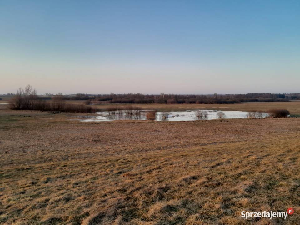 Działka w naturze kujawsko-pomorskie