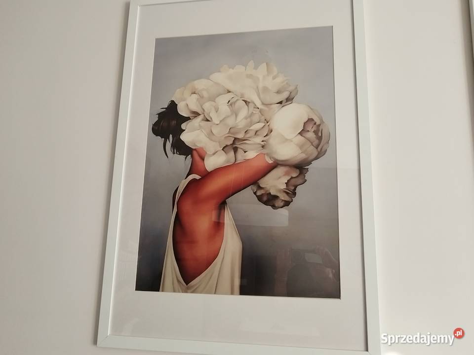 Obraz w ramie 9665 sprzedam