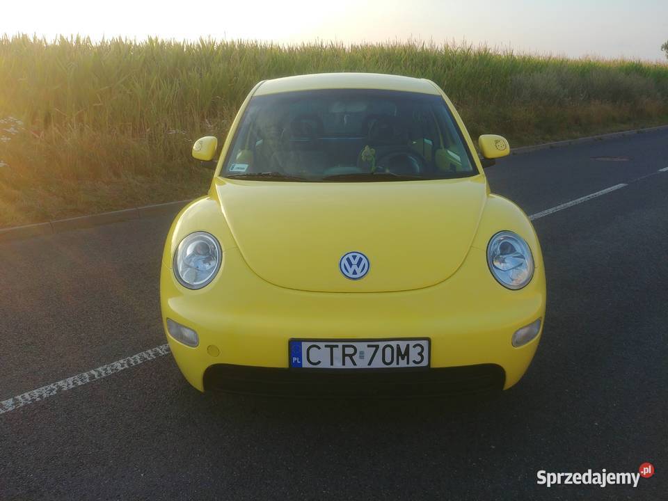 BEETLE elektryczne szyby Toruń