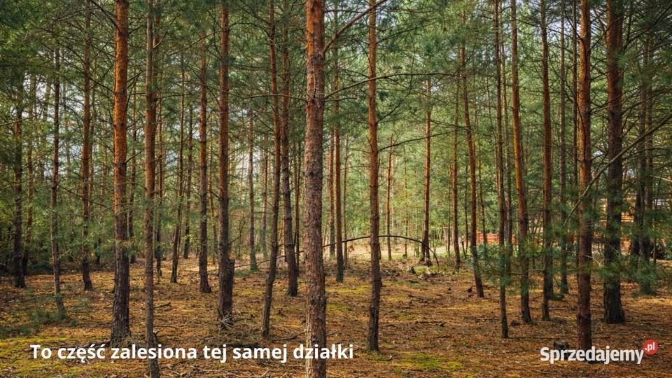 Działka budowlana media fundamenty Kozienice 2318m2
