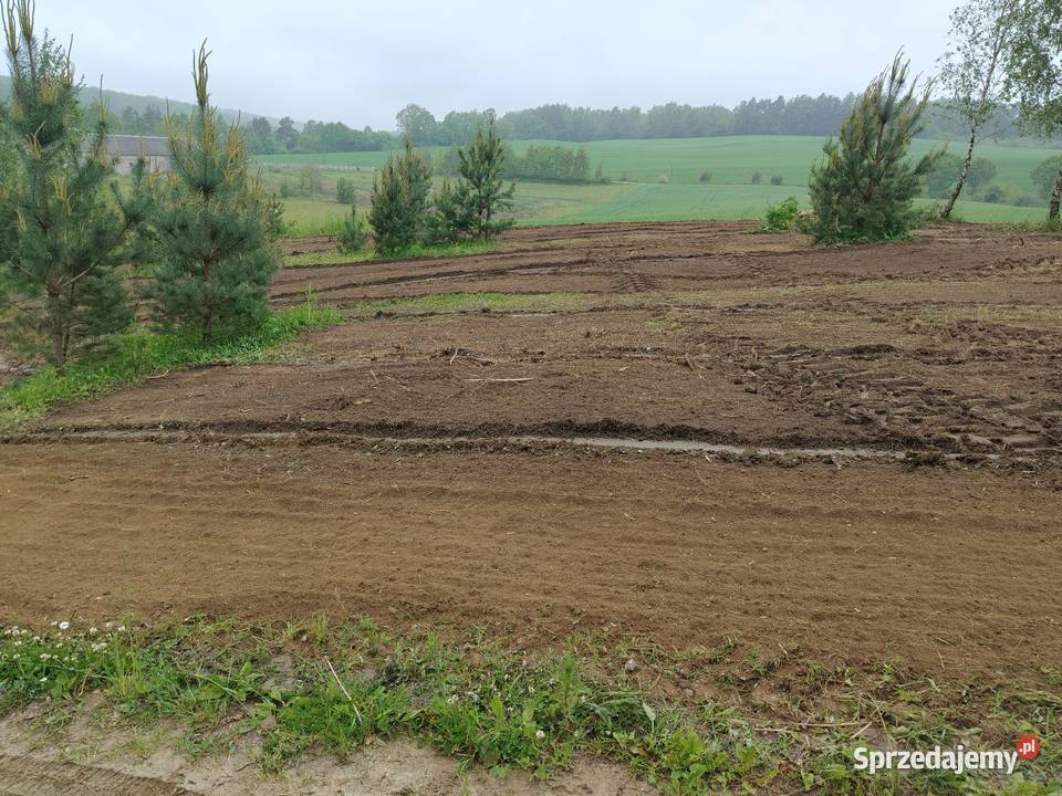 mulczer koszenie nieużytków równanie gruntów prace ogrodowe