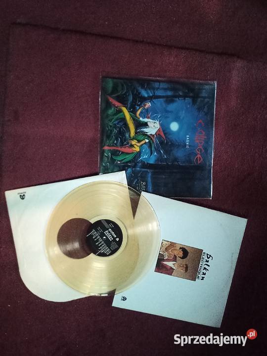 Unikalne winyle Rybnik