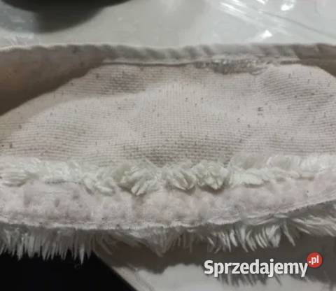 Recykling czyściw Raypath 50 ceny Bełk