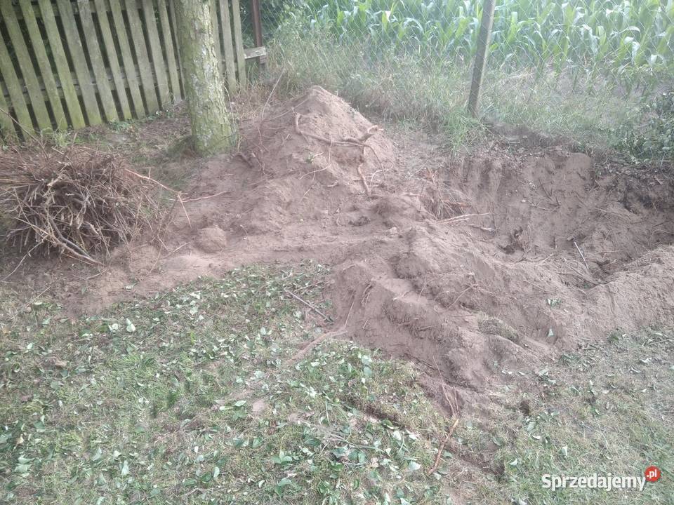 Pielęgnacja ogrodów ogrodnictwo Strzegowo