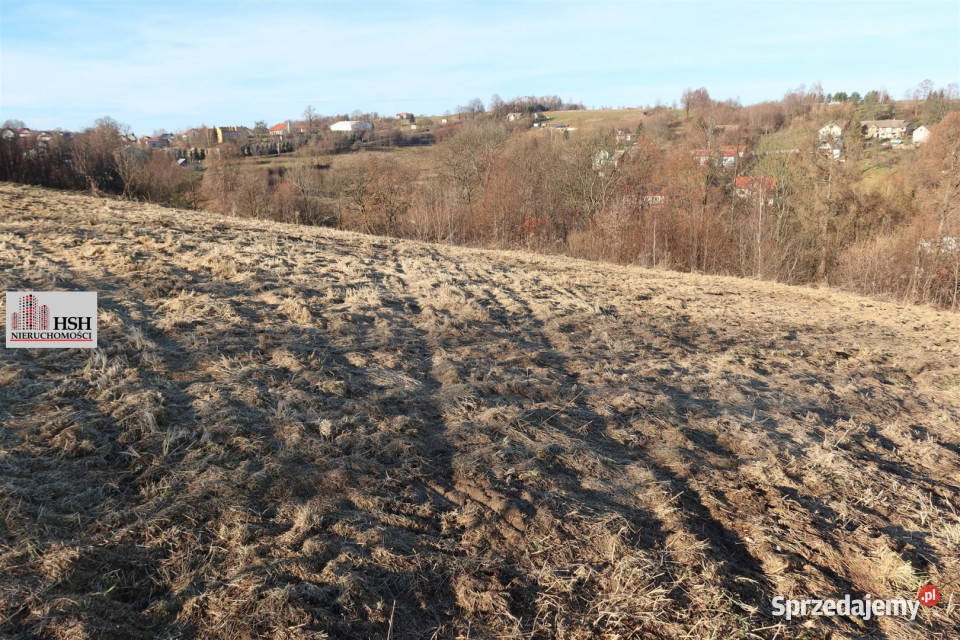 Grunt na sprzedaż Krzeszowice 7142m2 Sprzedaż