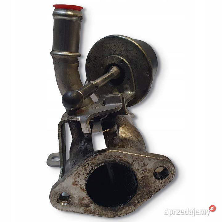 CHŁODNICA SPALIN VW Passat B6 Audi A3 8P 20 TDI