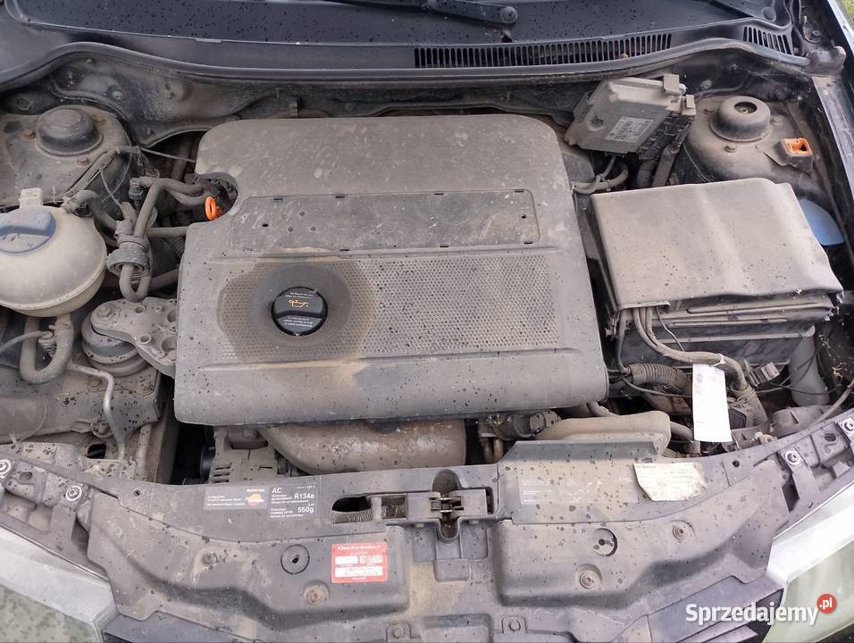 Seat Ibiza 237 sprawny na chodzie manualna mazowieckie Plewica sprzedam