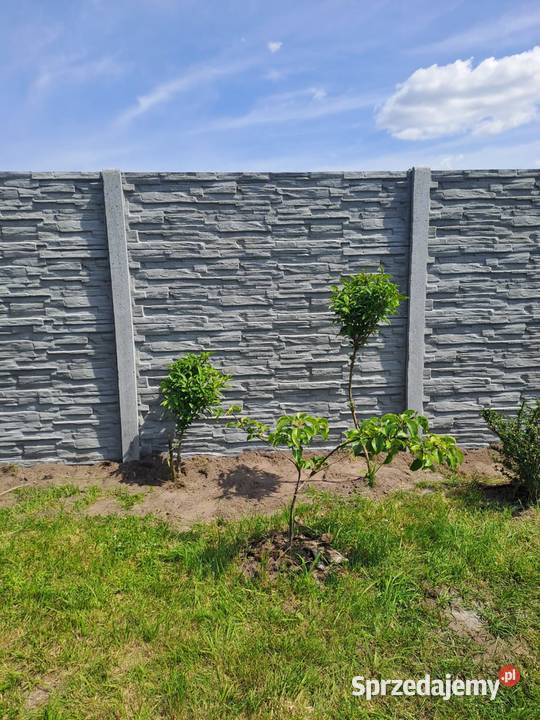 Ogrodzenia betonowe Bolesławiec Nowoczesne wzory Bielawa