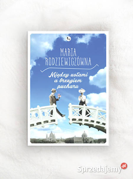 ksiązka Między ustami a brzegiem pucharu podkarpackie