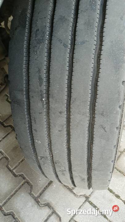 Man Tgl 12180 Chłodnia Winda Gdańsk