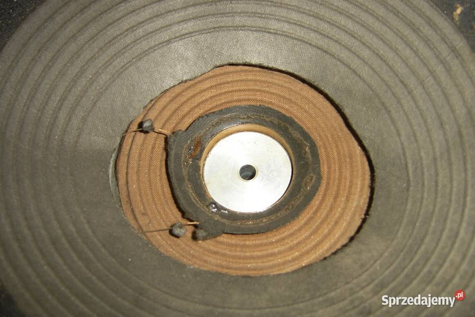 CELESTION głośnik gitarowy G 12 G12 najtaniej dolnośląskie