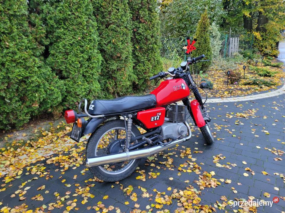 Mz Etz 250 z dokumentami Parczew