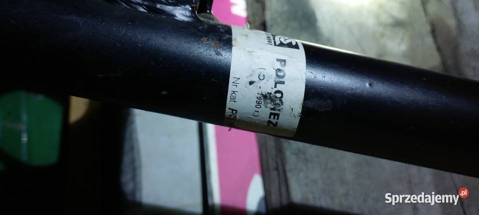 Polonez Hak borewicz i akwarium nooowy podkarpackie Jarosław