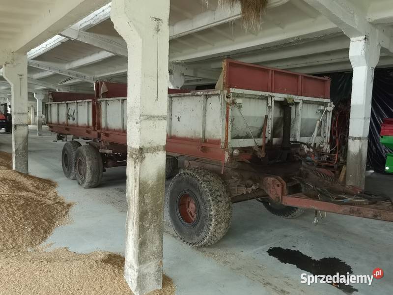 Zestaw pts12 pts 9 Węgorzewo