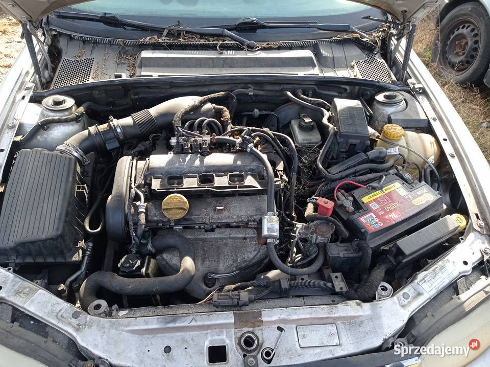 Opel Vectra B 18 92 kW 2000 r dawca części Szklarka Myślniewska