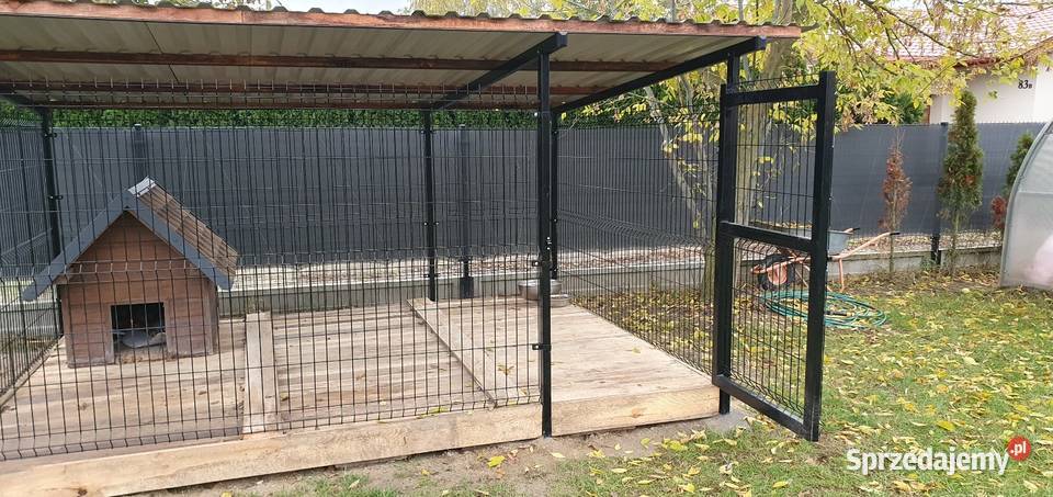 Duży kojec psa z buda Dla psów Łuków