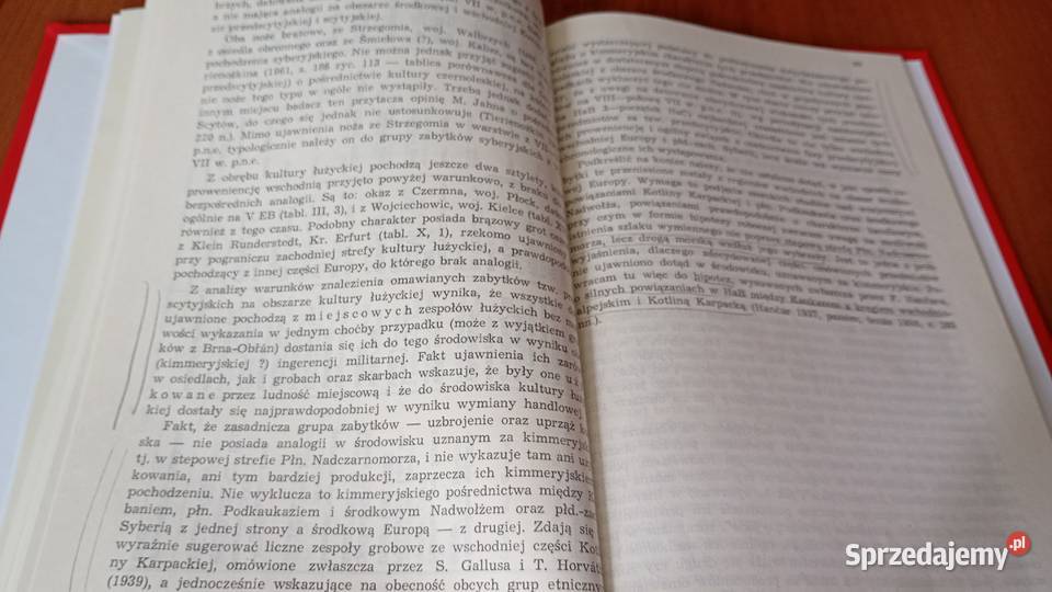 Elementy wschodnie w kulturze łużyckiej u