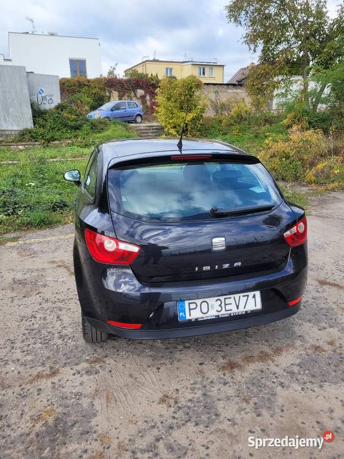 Seat Ibiza Poznań