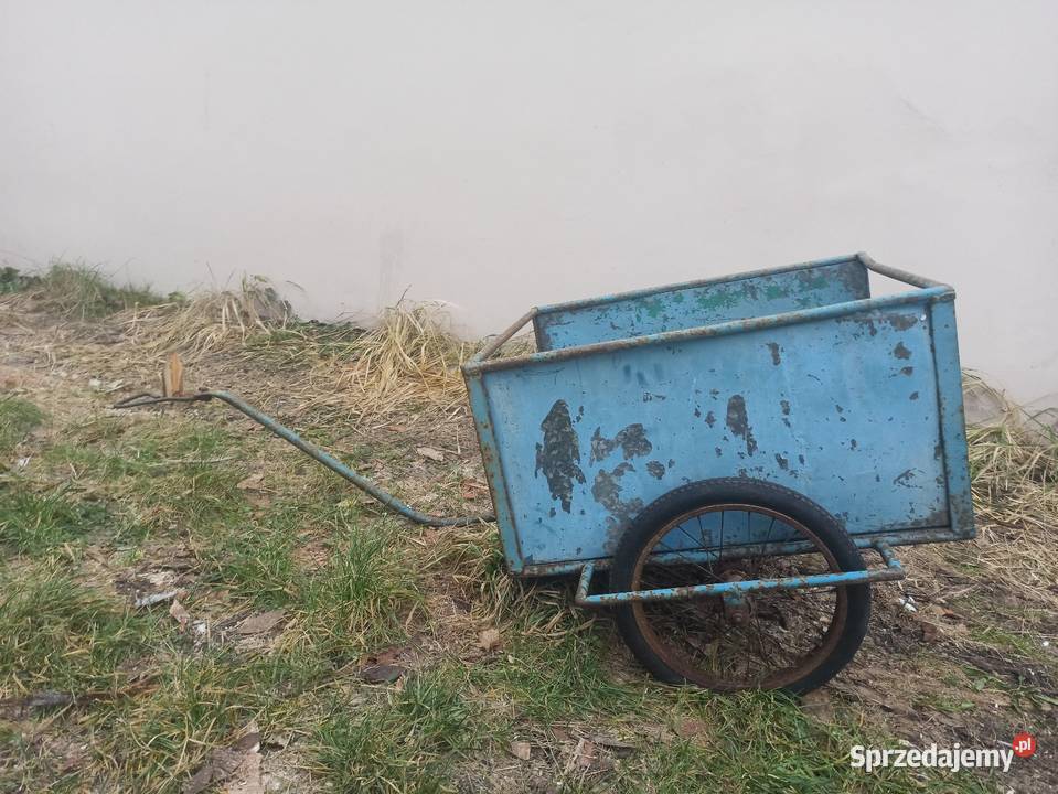 Wózek ogrodowy transportowy Woźniki