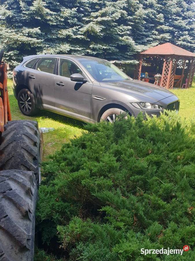 Jaguar Fpace jasna skora zadbany dolnośląskie Złotoryja sprzedam