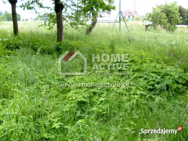 domu wolnostojącego 9000m2 Pszczyna Stara Wieś Pszczyna