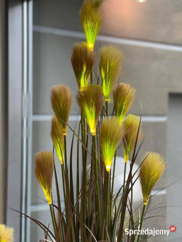 Sztuczna trawa dekoracyjna Premium podświetlana Golkowice sprzedam