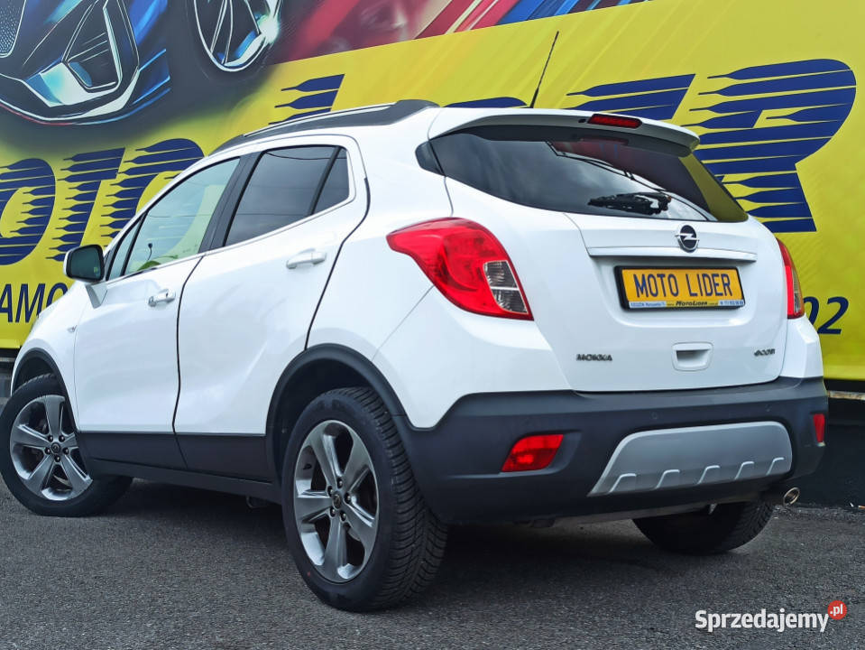 Gaz zarejestrowany gładki Motoryzacja