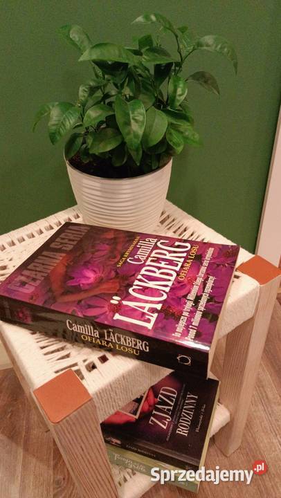 PRLowskie krzesełko renowacji Starogard Gdański