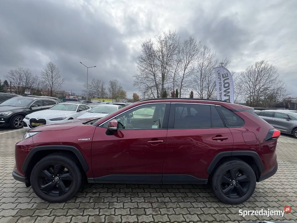 Toyota RAV4 HYBRID 2019 światła do jazdy dziennej mazowieckie