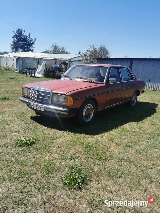 Mercedes W123 24D W123