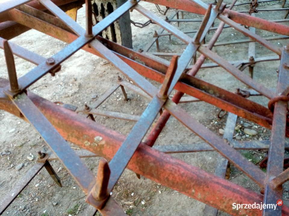 Sprzedam brony 5 małopolskie Czechy