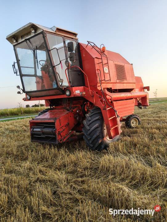 Bizon Rekord podkarpackie