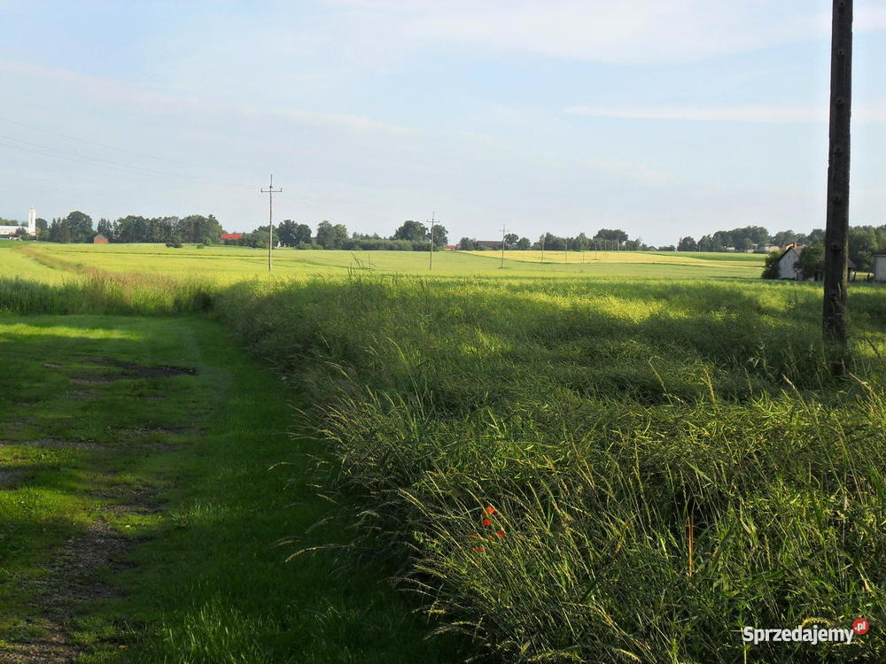 Działka budowlana PRUCHNA 9900m2 śląskie Cieszyn