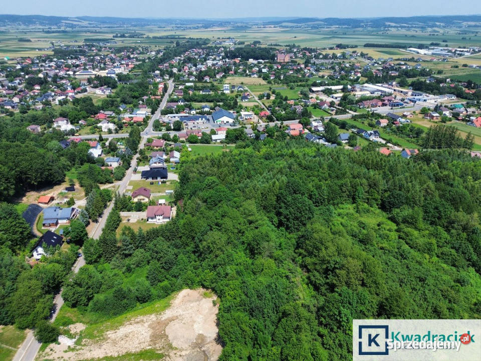 sprzedaży działki Besko Tarninowa 5008m2 Sprzedaż podkarpackie