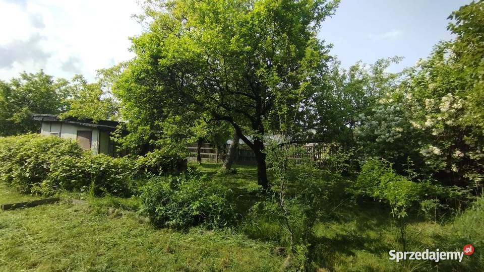 Działka ROD Łódź Dąbrowa