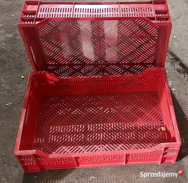 Skrzynki plastikowe różne rodzaje do 15 Czempiń